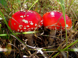 Similar image 1498305