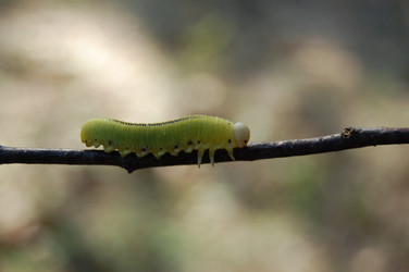 Similar image 1498308