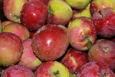 Similar image 1498315