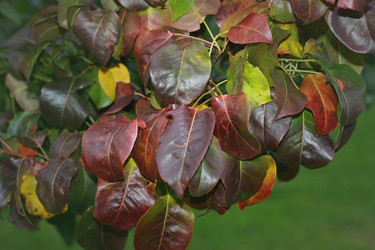 Similar image 1498341