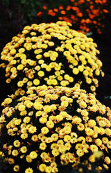 Similar image 1498352