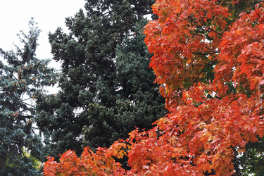 Similar image 1498355