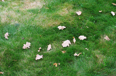 Similar image 1498357