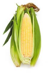 Similar image 1498362