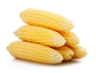 Similar image 1498367