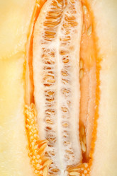 Similar image 1498457