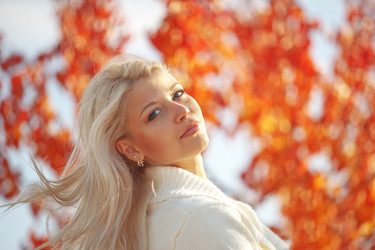 Similar image 1498539