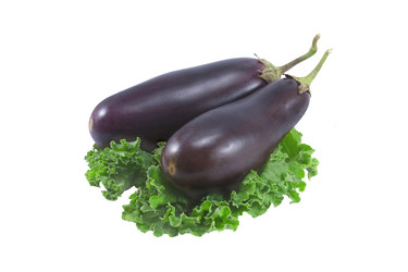 Similar image 1498543