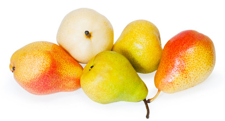 Similar image 1498556