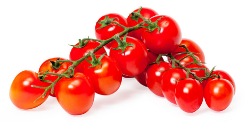 Similar image 1498559