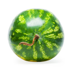 Similar image 1498561