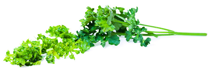 Similar image 1498566