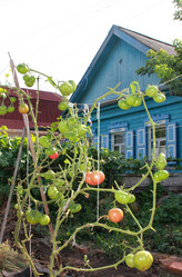 Similar image 1498587