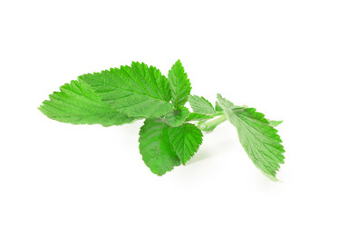 Similar image 1498596