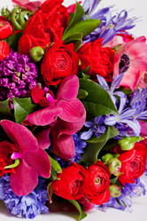 Similar image 1498616