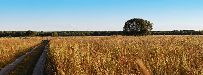 Similar image 1498621