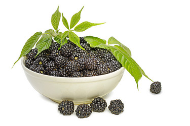 Similar image 1498629