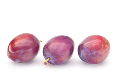 Similar image 1498653