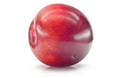 Similar image 1498655