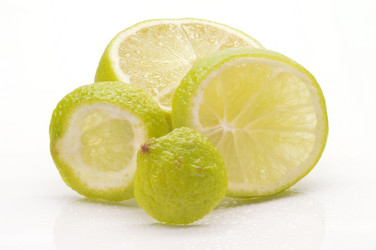 Similar image 1498659