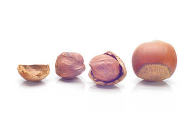 Similar image 1498662