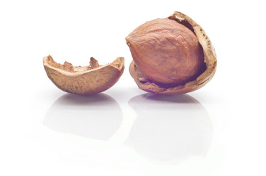 Similar image 1498663