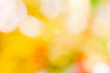 Similar image 1498707