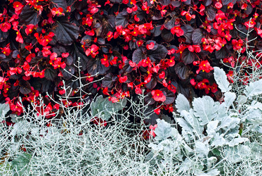 Similar image 1498743