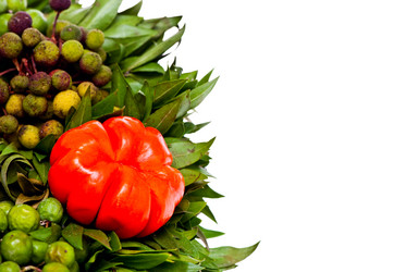 Similar image 1498745