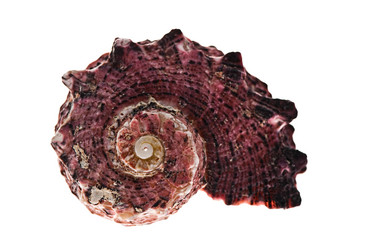 Similar image 1498747