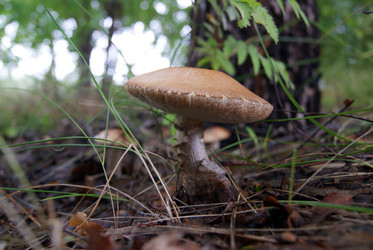 Similar image 1498757