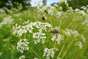 Similar image 1498788