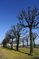 Similar image 1498790