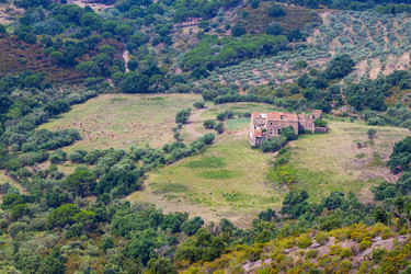 Similar image 1498829