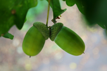 Similar image 1498832