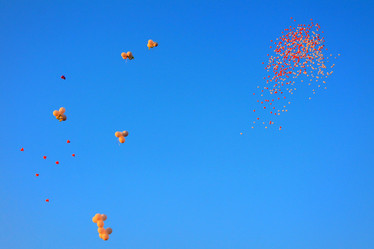 Similar image 1498836