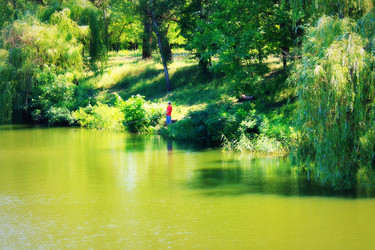 Similar image 1498837