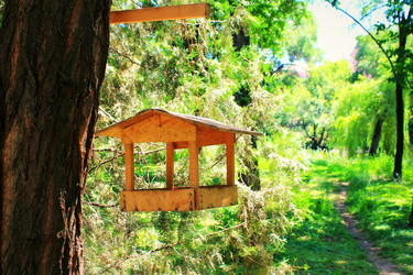 Similar image 1498838