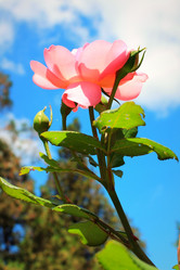 Similar image 1498839