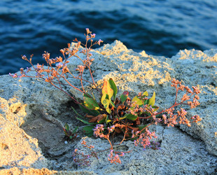 Similar image 1498845