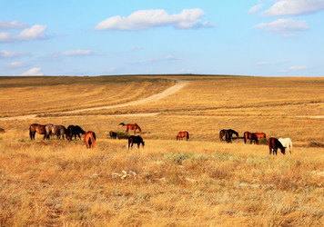 Similar image 1498847