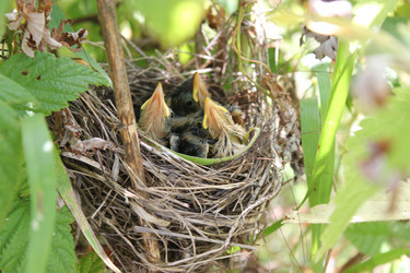 Similar image 1498888