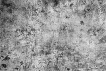 Similar image 1498891