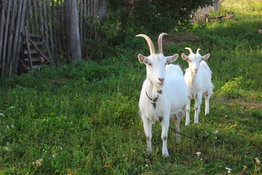 Similar image 1498910