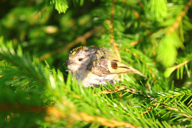 Similar image 1498949