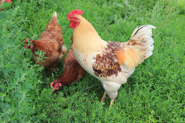 Similar image 1498950