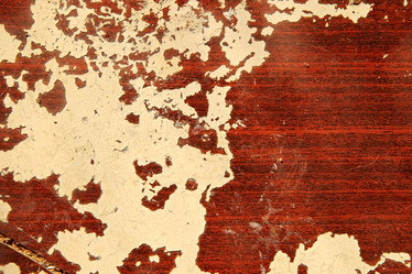 Similar image 1498964