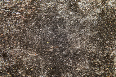 Similar image 1498968