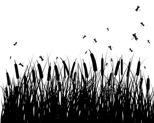 Similar image 1499003