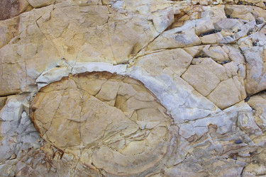 Similar image 1499024